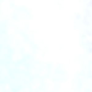 Meet your Posher, Summer